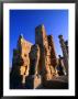 Gateway Of All Nations Built By Xerxes I (485-465 Bc) Persepolis (Takht-E Jamshid), Fars, Iran by Phil Weymouth Limited Edition Print
