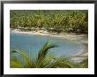 Beach At Little Dix Bay, Virgin Gorda by Alessandro Gandolfi Limited Edition Print