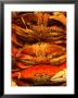 Pile Of Crabs For Sale At Pike Place Market, Seattle, Usa by Levesque Kevin Limited Edition Print