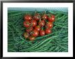 Cherry Tomatoes And Beans Are Sold At One Of Paris Largest Markets by Cotton Coulson Limited Edition Print