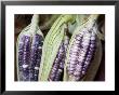 Purple Corn Displayed In Market, Cuzco, Peru by John & Lisa Merrill Limited Edition Print