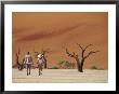 Hikers Among Petrified Camelthorne Trees, Namibia by Stuart Westmoreland Limited Edition Print