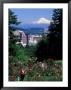 People At The Washington Park Rose Test Gardens With Mt Hood, Portland, Oregon, Usa by Janis Miglavs Limited Edition Print