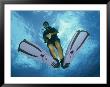 A Diver Descends Into The Caribbean Sea by Heather Perry Limited Edition Pricing Art Print
