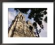 Notre Dame, Paris, France by Kindra Clineff Limited Edition Print