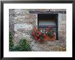 Flowers In A Window In A Tuscan Village, San Quirico D'orcia, Italy by Dennis Flaherty Limited Edition Print