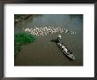 Boatsperson Herding Flock Of Ducks Away From Boat On Mekong Delta, Vietnam by Anders Blomqvist Limited Edition Print