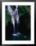 Swimmers At Salto Del Caburni Waterfall, Sierra Del Escambray, Topes De Collantes, Cuba by Shannon Nace Limited Edition Print