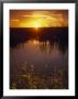 Everglades National Park, Fl by Angelo Cavalli Limited Edition Print