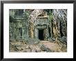 Tree Roots Overgrowng Temple, Ta Prohm, Angkor, Cambodia, Asia by Bruno Morandi Limited Edition Print