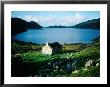 Derelict Cottage On The Isle Of Lewis, United Kingdom by Cornwallis Graeme Limited Edition Print