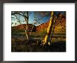 Glen Helen Gorge, West Macdonnell National Park, Australia by Richard I'anson Limited Edition Print