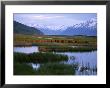 Potter Marsh Under The Chugach Mountains by Michael Melford Limited Edition Pricing Art Print