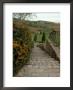 View Of Countryside From Stone Steps, Burgundy, France by Lisa S. Engelbrecht Limited Edition Print