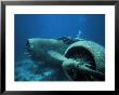 Diver Near Sunken Plane, Aruba by Timothy O'keefe Limited Edition Print