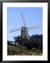 Dutch Windmill, Golden Gate Park, San Francisco by Reid Neubert Limited Edition Print