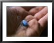 Close View Of An Antibiotic Pill by Brian Gordon Green Limited Edition Print