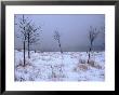Snow On Scarborough Bluffs, Toronto, Canada by Corey Wise Limited Edition Print