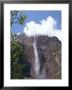 Angel Falls, Canaima National Park, Venezuela, South America by Charles Bowman Limited Edition Pricing Art Print