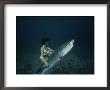 A Woman Rides A Shark by Nick Caloyianis Limited Edition Print