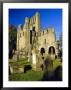 12Th Century Benedictine Abbey Founded By King David In 1128, Kelso, Scottish Borders, Scotland by Pearl Bucknell Limited Edition Print