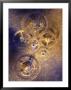 Gold Watch Gears by Eric Kamp Limited Edition Print