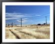 Praire Road, Saskatchewan, Canada by Walter Bibikow Limited Edition Print