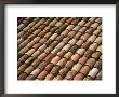 Detail Of Terracotta Roof Tiles, Cadaques, Catalonia, Spain by Martin Llado Limited Edition Print