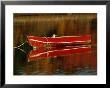 A Gull Rests On An Old Rowboat by Raymond Gehman Limited Edition Print