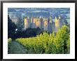 Bodiam Castle, East Sussex, England by Peter Adams Limited Edition Print