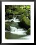 Stream, Great Smoky Mountain National Park, Tn by David Davis Limited Edition Print