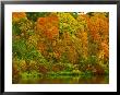 Autumn Colours Reflected In Mississippi River, Usa by David Boag Limited Edition Print
