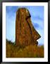 Moai Statue Lying Submerged In Soil, Rano Raraku, Easter Island, Valparaiso, Chile by Paul Kennedy Limited Edition Pricing Art Print