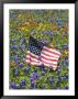 American Flag In Field Of Blue Bonnets, Paintbrush, Texas Hill Country, Usa by Darrell Gulin Limited Edition Print