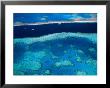 Great Barrier Reef, Whitsundy, Queensland, Australia by Steve Vidler Limited Edition Pricing Art Print