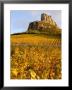 Roche De Solutre Above Vineyards, France by Lisa S. Engelbrecht Limited Edition Print