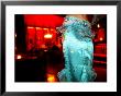 Dancer Upstairs At Le Comptoir, Hivernage, Marrakesh, Morocco by Doug Mckinlay Limited Edition Pricing Art Print