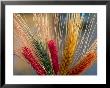 Tibetan Religious Offerings Made Of Barley Wheat, Lhasa, Tibet, China by Keren Su Limited Edition Print