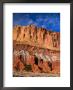 Pinyon Pine Below Cliffs, Capitol Reef National Park, Utah, Usa by Scott T. Smith Limited Edition Print