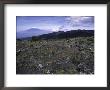 Rocky Terrain With Mountain In The Distance, Kilimanjaro by Michael Brown Limited Edition Print