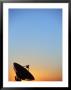 Silhouette Of Radio Telescopes, New Mexico by Jeff Friedman Limited Edition Print