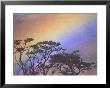 Rainbow Over Rural Valley, Guacimal, Costa Rica by Michele Westmorland Limited Edition Print