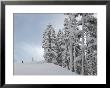 Ski Slopes, Whistler, British Columbia, Canada by Keith Levit Limited Edition Print