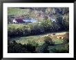 Tobacco Farm In Rural Tn by Dave Bartruff Limited Edition Print