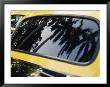 Reflections Of Palm Trees In The Window Of A Taxi by Eightfish Limited Edition Print