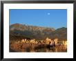 Moon Over Sierra Mountain Range, Ca by Kyle Krause Limited Edition Print