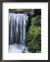Moss Grows Alongside A Waterfall On Fern Creek by Marc Moritsch Limited Edition Pricing Art Print