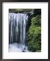 Moss Grows Alongside A Waterfall On Fern Creek by Marc Moritsch Limited Edition Print