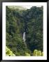 Trafalgar Falls From A Distance by Todd Gipstein Limited Edition Print