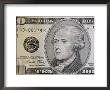 A Close View Of A Ten Dollar Bill by Joel Sartore Limited Edition Print